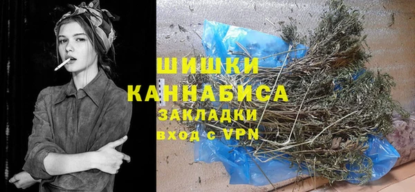 ГАЛЛЮЦИНОГЕННЫЕ ГРИБЫ Абаза