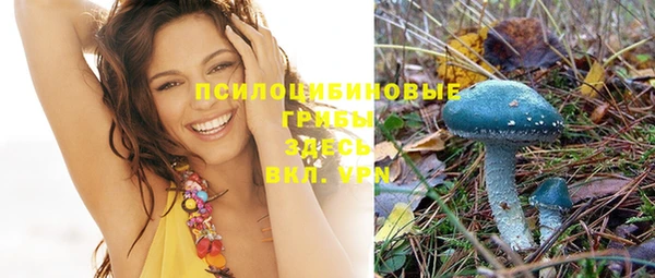 ГАЛЛЮЦИНОГЕННЫЕ ГРИБЫ Абаза
