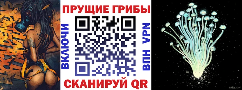 купить   ссылка на мегу   Псилоцибиновые грибы прущие грибы  Партизанск 