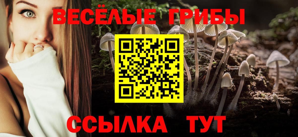 Галлюциногенные грибы ЛСД  Вход с VPN  Партизанск  Псилоцибиновые грибы Cubensis 